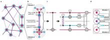 A network overview of the modular quantum architecture demonstrated in the new study.